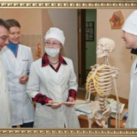 Изучаем скелет