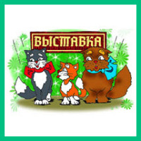 кошачья выставка