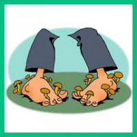 как вылечить грибок стопы?