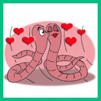 виды глистов