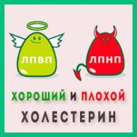 Как развивается атеросклероз?