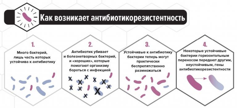 Влияние антибиотиков на организм человека проект